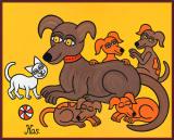 Bublina má štěňátka.jpg