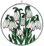 0022 Kyt. Sněženky.jpg